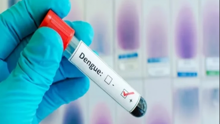 Dengue en TDF, 13 casos confirmados y 20 sospechosos