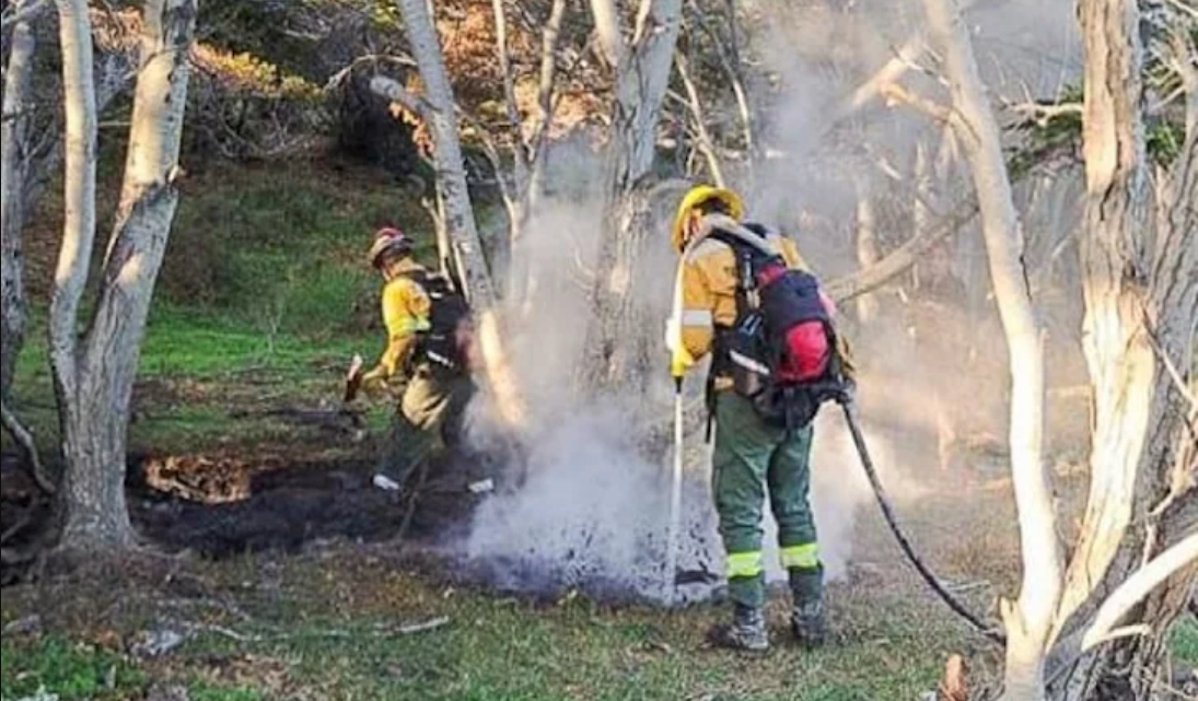 Incendio forestal en Playa Larga a pesar de la prohibicion de hacer fuego en el campo Incendio forestal en Playa Larga a pesar de la prohibicion de hacer fuego en el campo