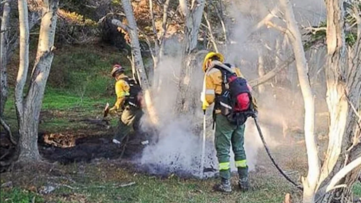 Incendio forestal en Playa Larga a pesar de la prohibicion de hacer fuego en el campo