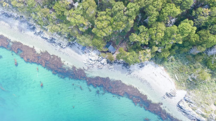Puerto Almanza, un paraíso natural en el extremo sur de Argentina desde el Drone de Infobae
