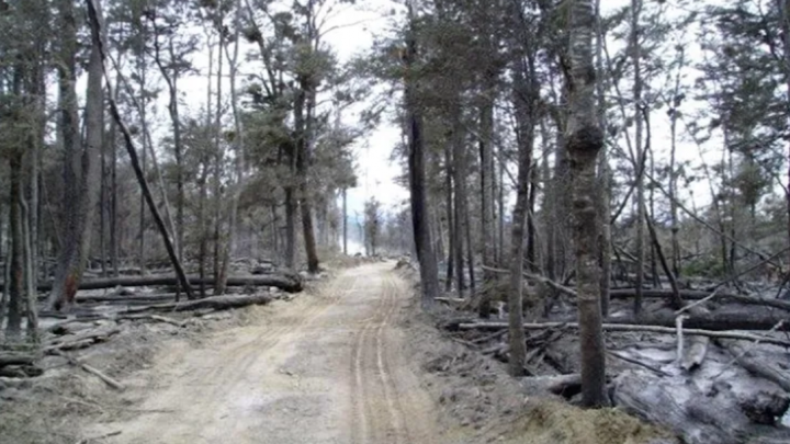 La lluvia y la nieve terminaron de apagar el incendio forestal en TDF