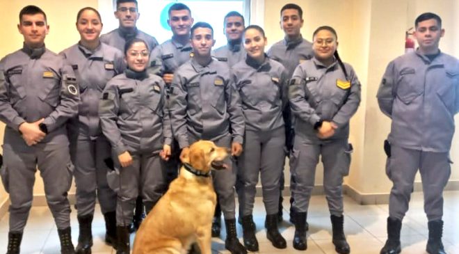 Finalizó con éxito el primer curso básico de guía de canes en la provincia