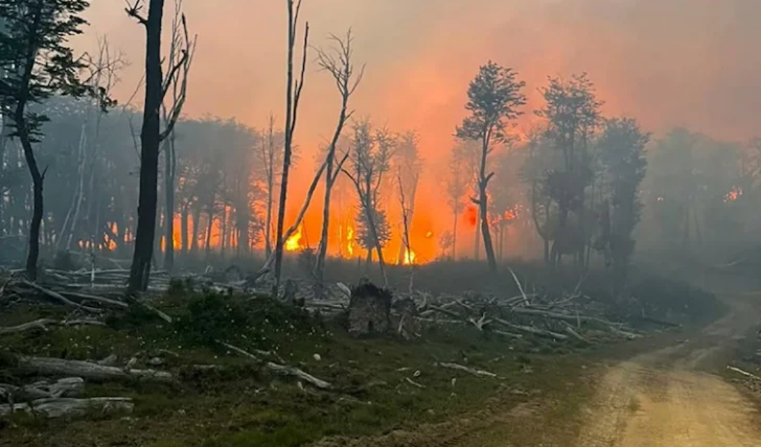 Incendio forestal en Tolhuin, Gobierno inicia sumario para dar con los autores, siete meses despues