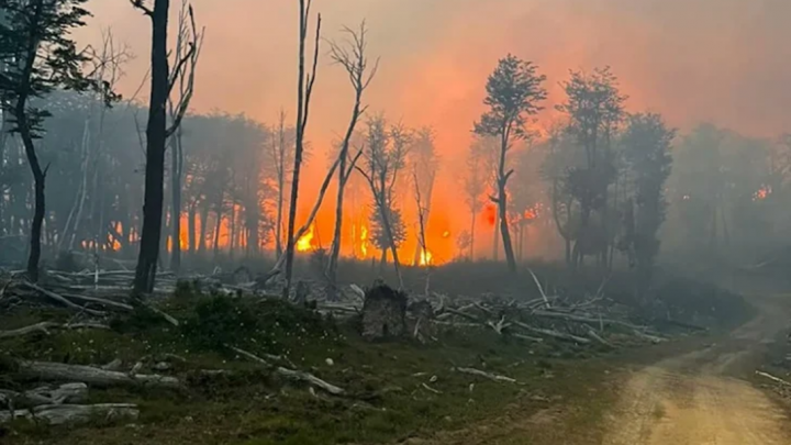 Incendio forestal en Tolhuin, Gobierno inicia sumario para dar con los autores, siete meses despues