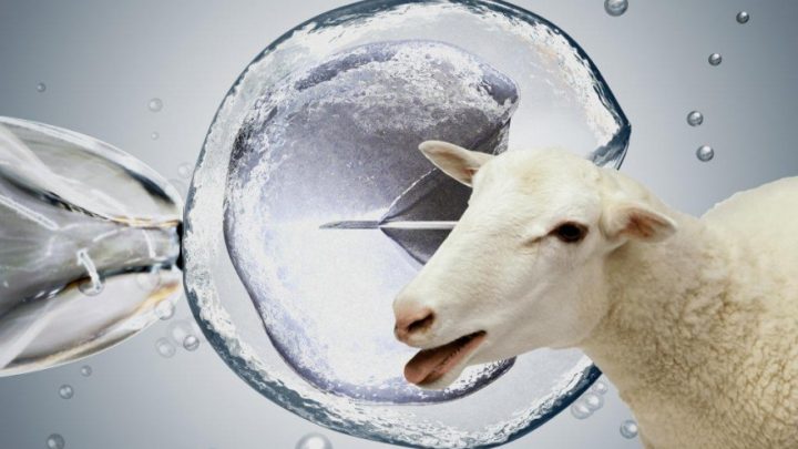 Tierra del Fuego contará con un Centro de Reproducción y Genética Animal
