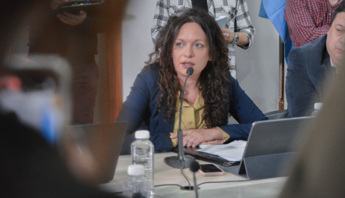LAURA AVILA: “La defensa que ha hecho Cristina Fernández de Kirchner del subregimen industrial»