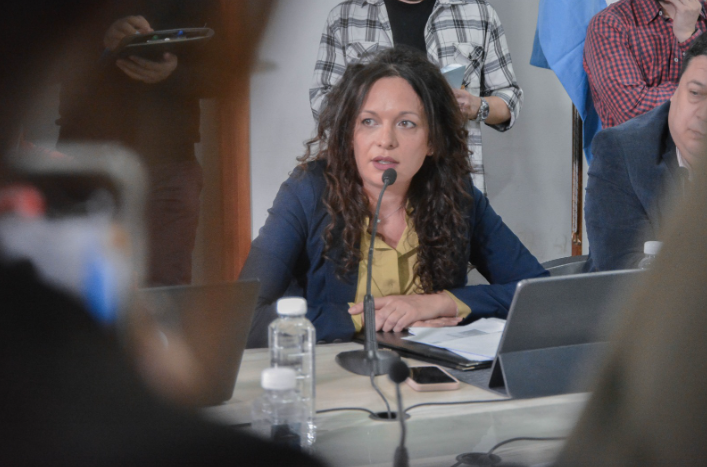 LAURA AVILA: “La defensa que ha hecho Cristina Fernández de Kirchner del subregimen industrial»