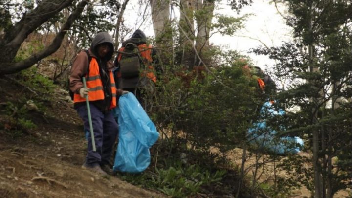 Respeto por el entorno natural: Se realizó jornada de limpieza en Ushuaia