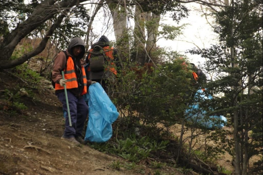 Respeto por el entorno natural: Se realizó jornada de limpieza en Ushuaia Respeto por el entorno natural: Se realizó jornada de limpieza en Ushuaia