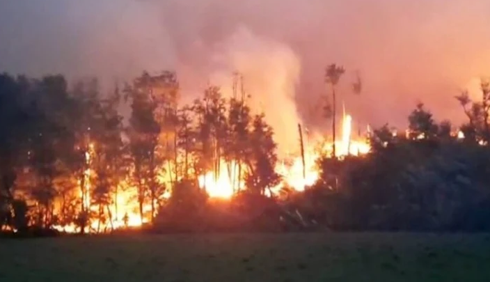 Juez proceso a dos hombres por el incendio forestal en Tolhuin