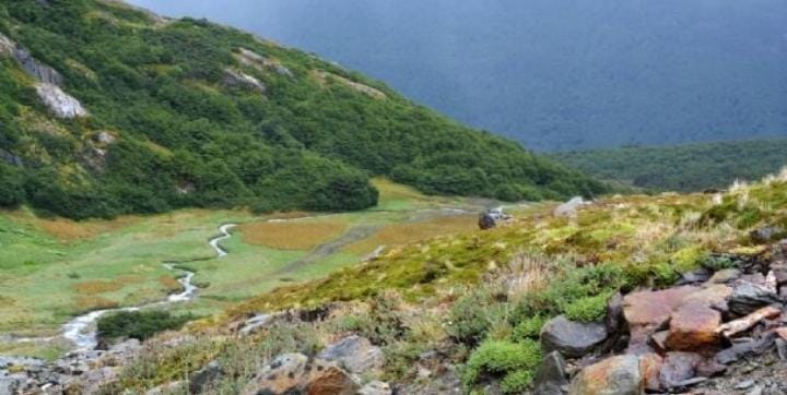 Sancionaron proyecto de Ley de un fondo de financiamiento para las áreas naturales protegidas