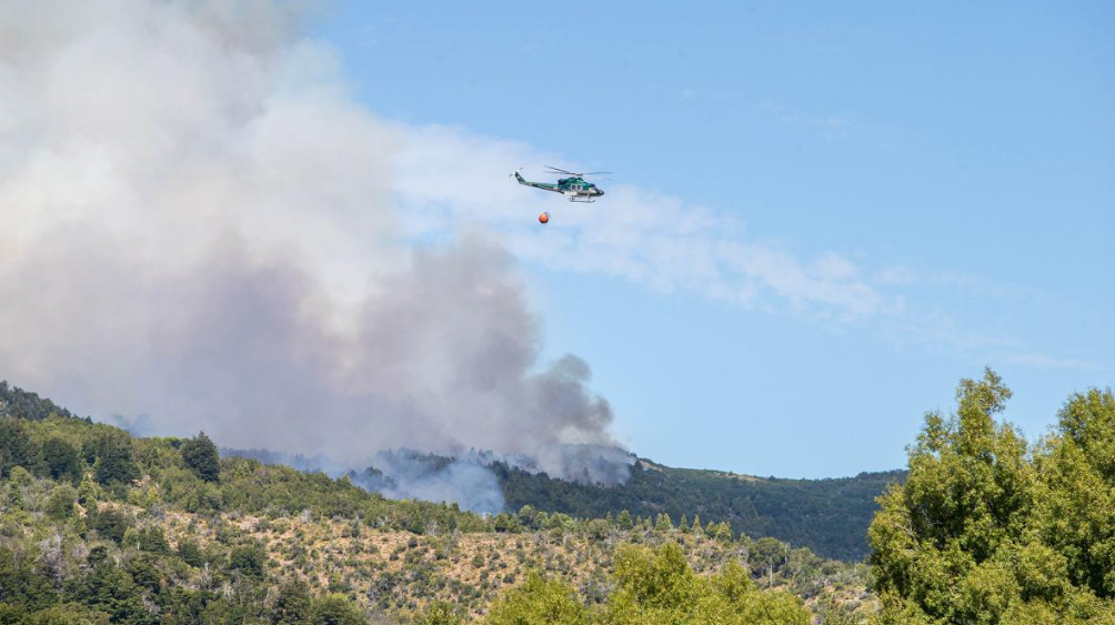 Incendio Forestales: Trabajan intensamente en el Parque Nacional Los Alerces