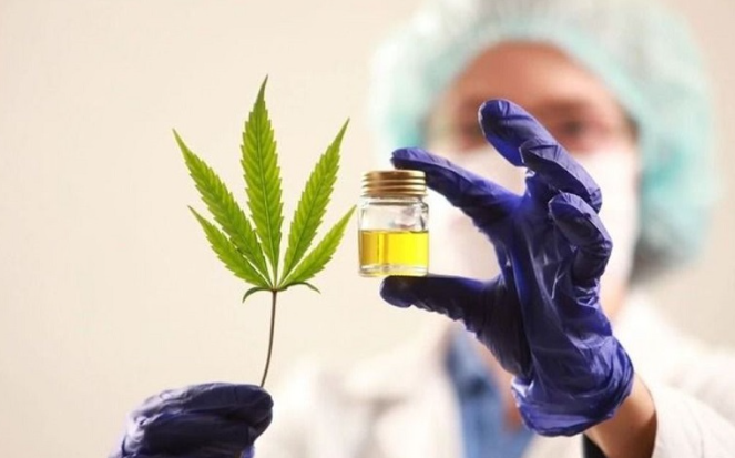 Salud. Comenzó a funcionar el Consultorio Cannábico con fines medicinales Salud. Comenzó a funcionar el Consultorio Cannábico con fines medicinales
