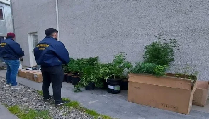 Desbaratan asociación ilícita dedicada a la venta de droga