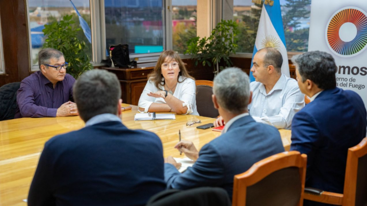 Gobierno: Reunión con directivos de Siemens Energy por obras del sistema eléctrico