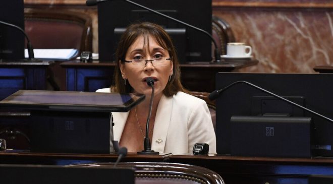 “El presidente lleva 6 meses agraviando e insultando a políticos y ciudadanos disidentes”.