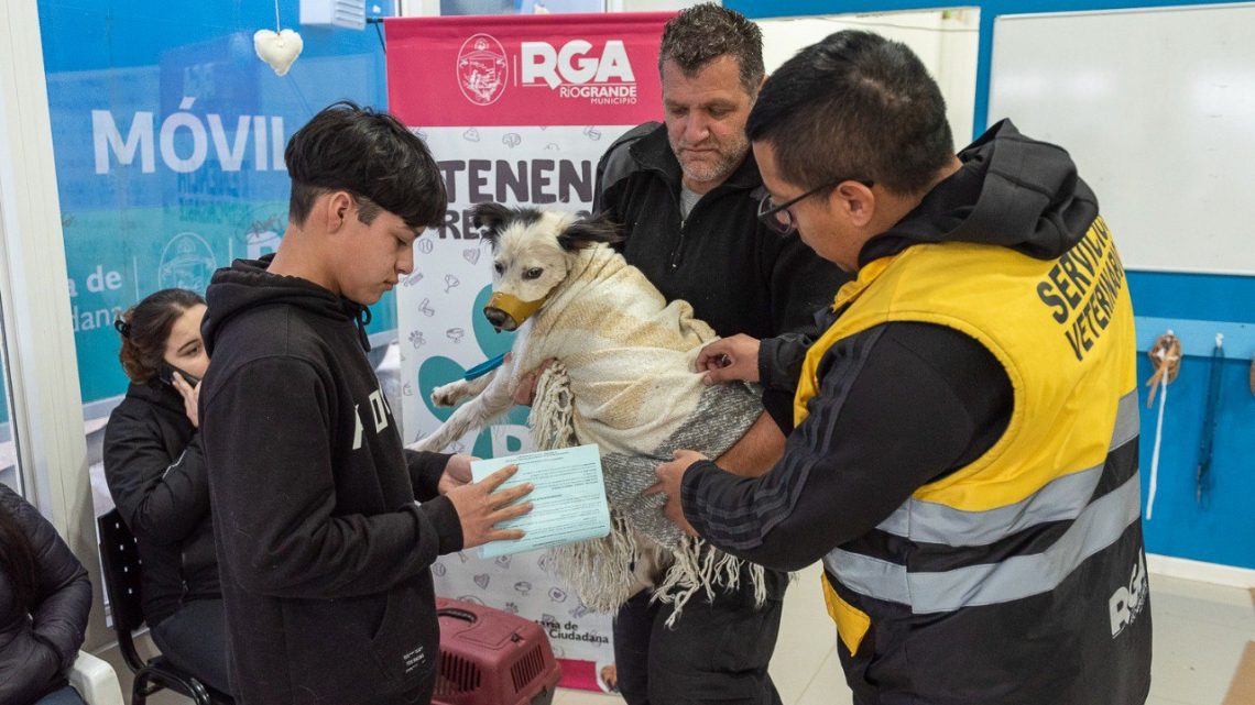 Este viernes: Se viene una nueva jornada de vacunación antirrábica y chipeo en Rīo Grande