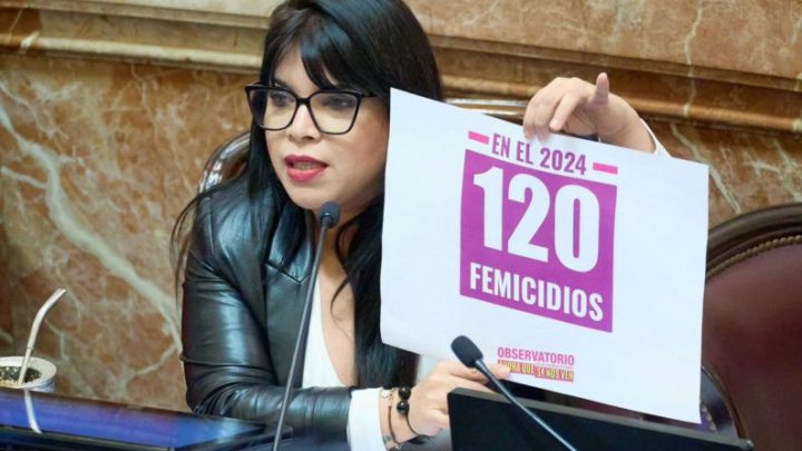 Senado: Eugenia Duré “La misoginia y violencia de Milei hacia las mujeres no tiene límite”