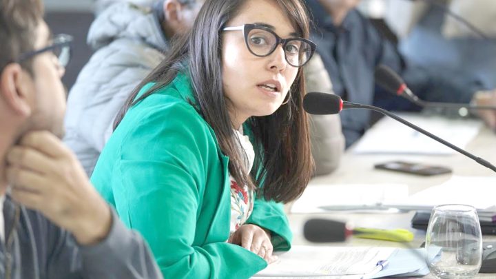 “Esas ordenanzas estaban hechas para sectores que no quieren competir”