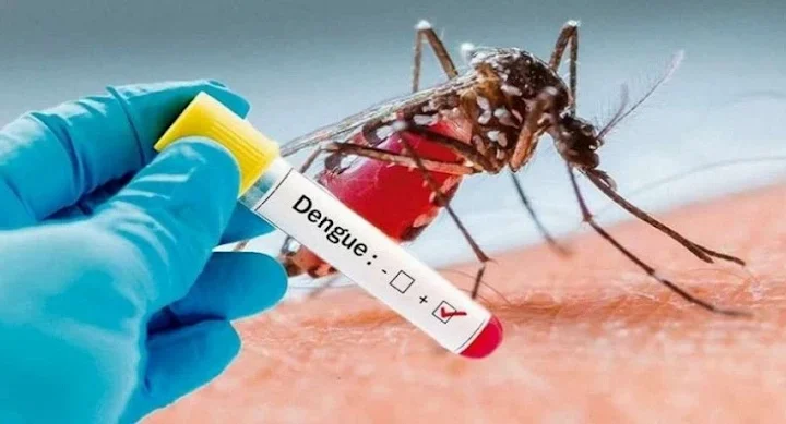 Tierra del Fuego registra 169 casos confirmados de dengue