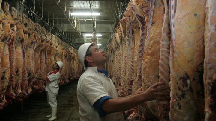 Fomento a la producción: Lapadula presentó proyecto para construir un frigorífico en Río Grande