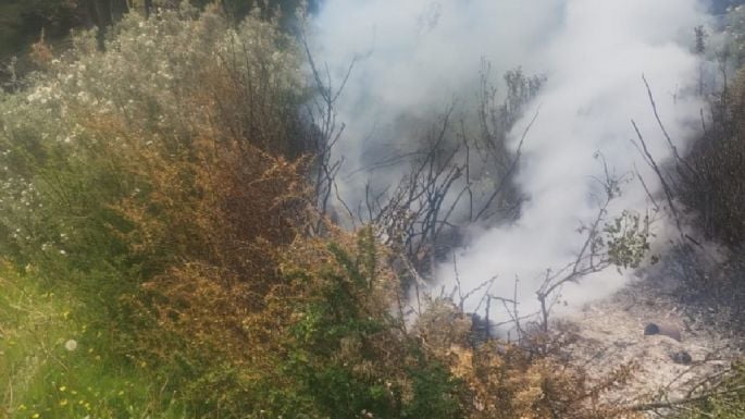 Una mujer fue aprehendida en Ushuaia tras iniciar quema de pastizales en zona boscosa