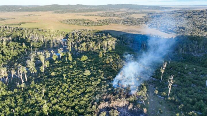 Estancia San Justo: Brigadistas trabajan para evitar la propagación del incendio detectado.