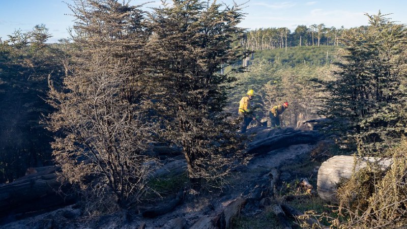 El incendio en Estancia San Justo se encuentra activo pero circunscripto.