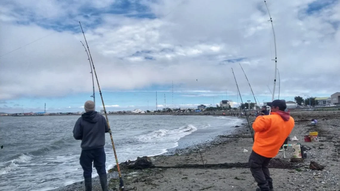 Río Grande se prepara para una nueva edición de la fiesta del róbalo.