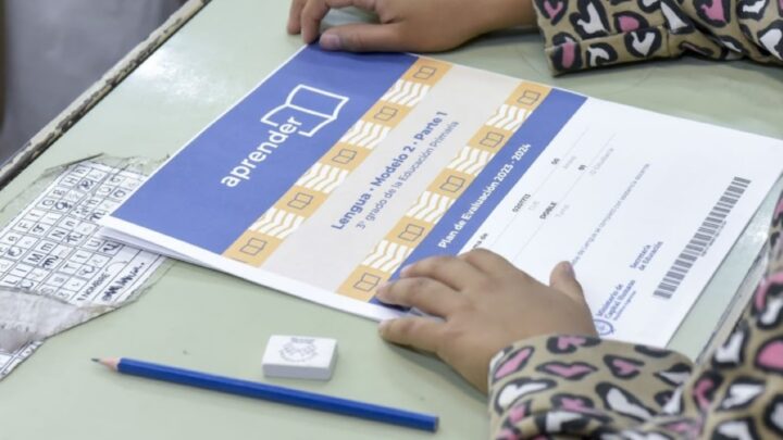 EN LAS ESCUELAS ARGENTINAS, 1 DE CADA 10 CHICOS NO SABE LEER SEGÚN LAS PRUEBAS APRENDER