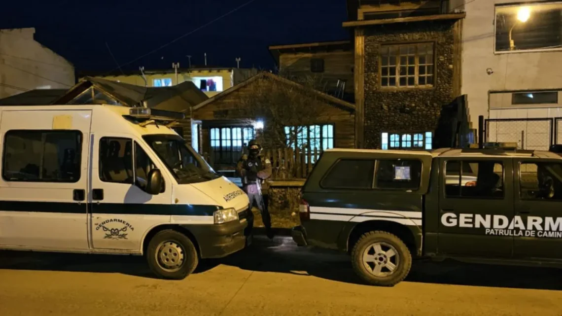 GENDARMERÍA SECUESTRÓ 55 PLANTAS DE MARIHUANA RELACIONADAS A UNA BANDA DELICTIVA DE RÍO GRANDE
