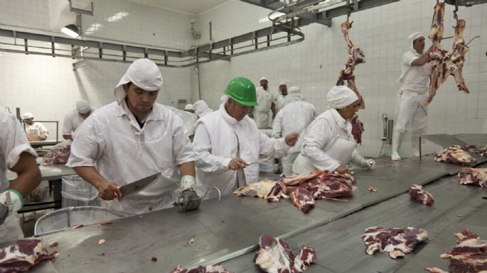 SUSPENDIERON EL INGRESO DE CARNE CON HUESO A TIERRA DEL FUEGO SUSPENDIERON EL INGRESO DE CARNE CON HUESO A TIERRA DEL FUEGO