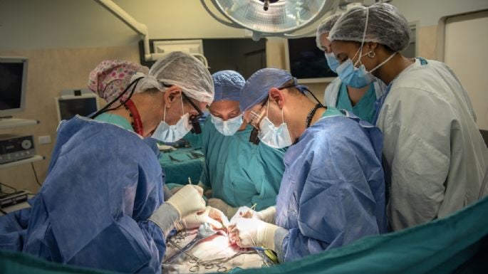El Garrahan batió un récord al realizar cuatro trasplantes pediátricos en menos de 34 horas