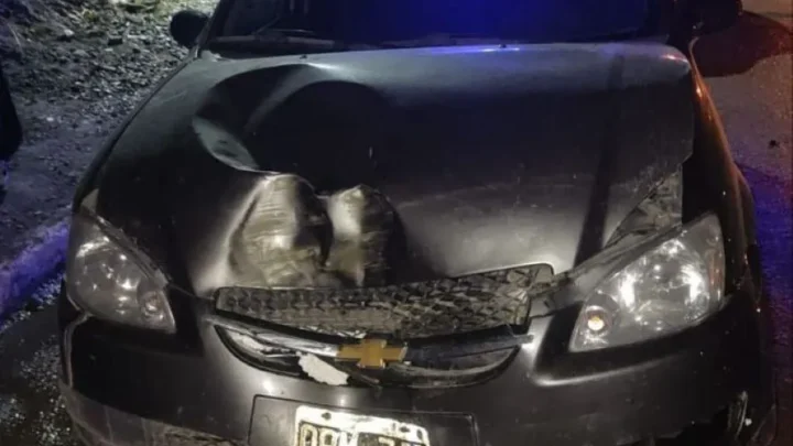 JOVEN PIERDE EL CONTROL DE SU VEHÍCULO Y SE ESTRELLA CONTRA UN POSTE EN USHUAIA.