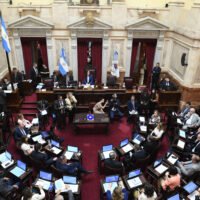 Triunfo parcial para el Gobierno: el Senado aprobó la ley de propiedad privada, pero hubo cambios en la reforma del Fuego
