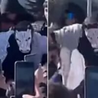 Intentó “farmear aura”, descubrieron que era therian y terminó expulsado del lugar